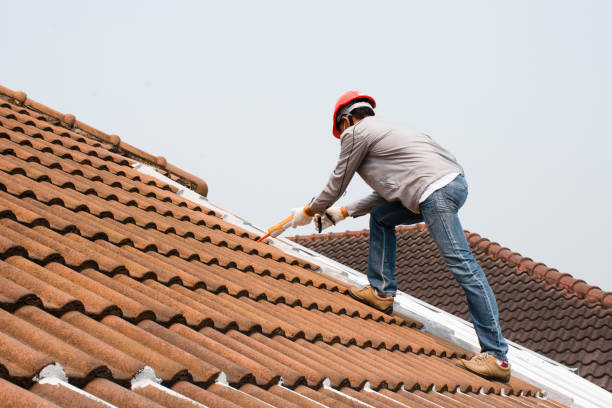 Professional Roofing and repair in Plymouth, MN